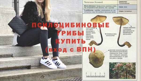 дурь Баксан